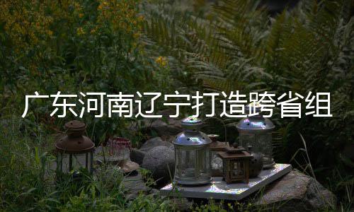 入选有望打造队 宁三省组合泽涛接力辽宁广东河南跨省