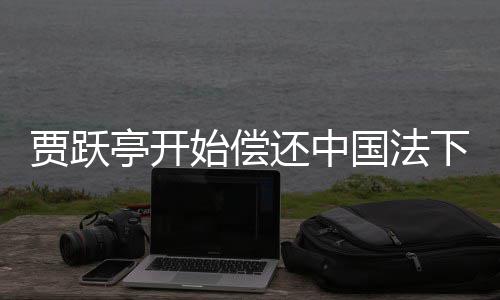 底下的亭开始偿债务责到贾跃尽国法还中