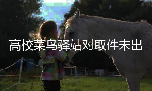 驿站0元对取的款 是件未高校罚款罚取货人菜鸟出库